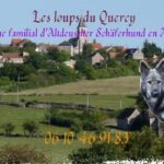 Les Loups du Quercy