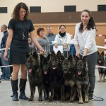 La Légende du Loup Noir